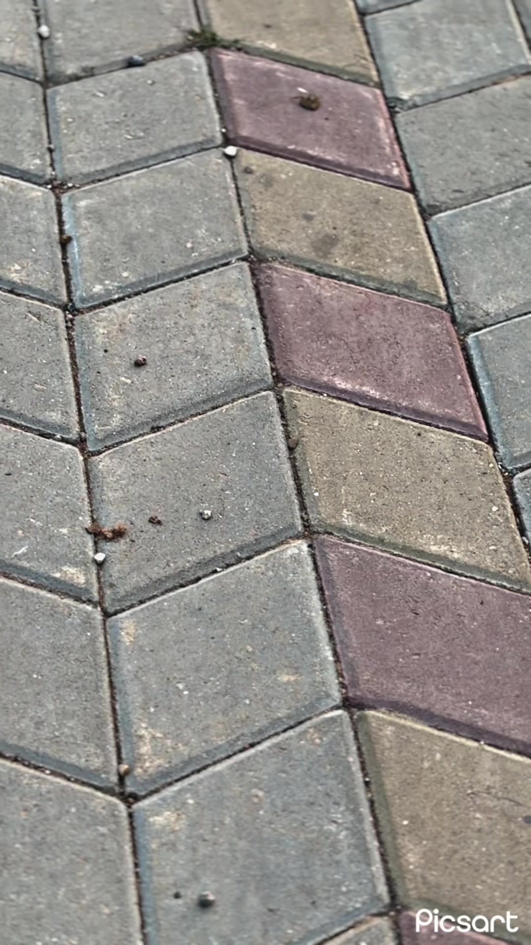 @سلطان🚩