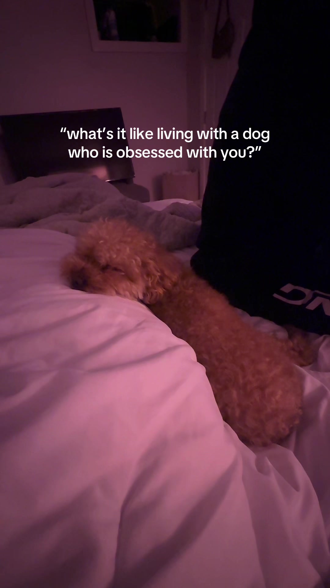 @Natalie