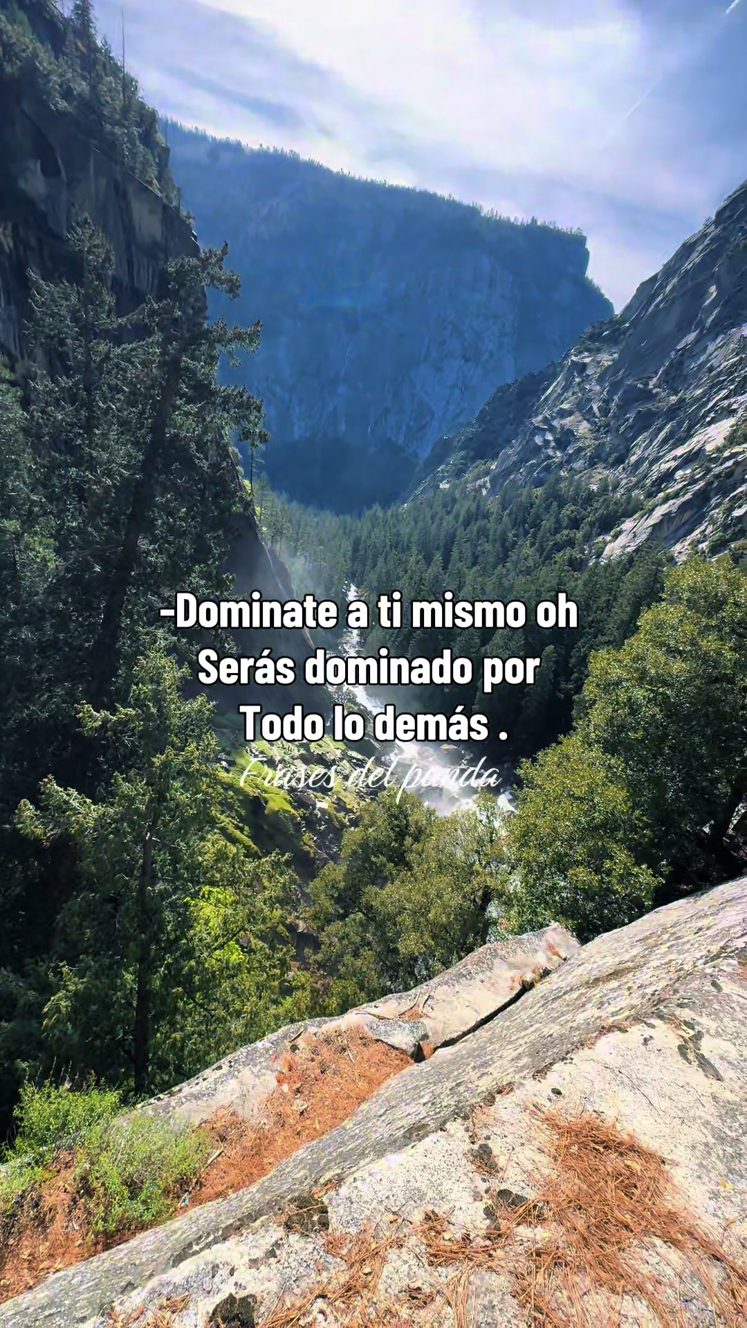 @frases del panda 🥷🏽