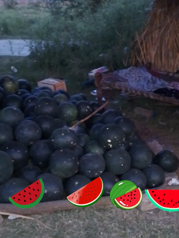 @Baig farmhouse