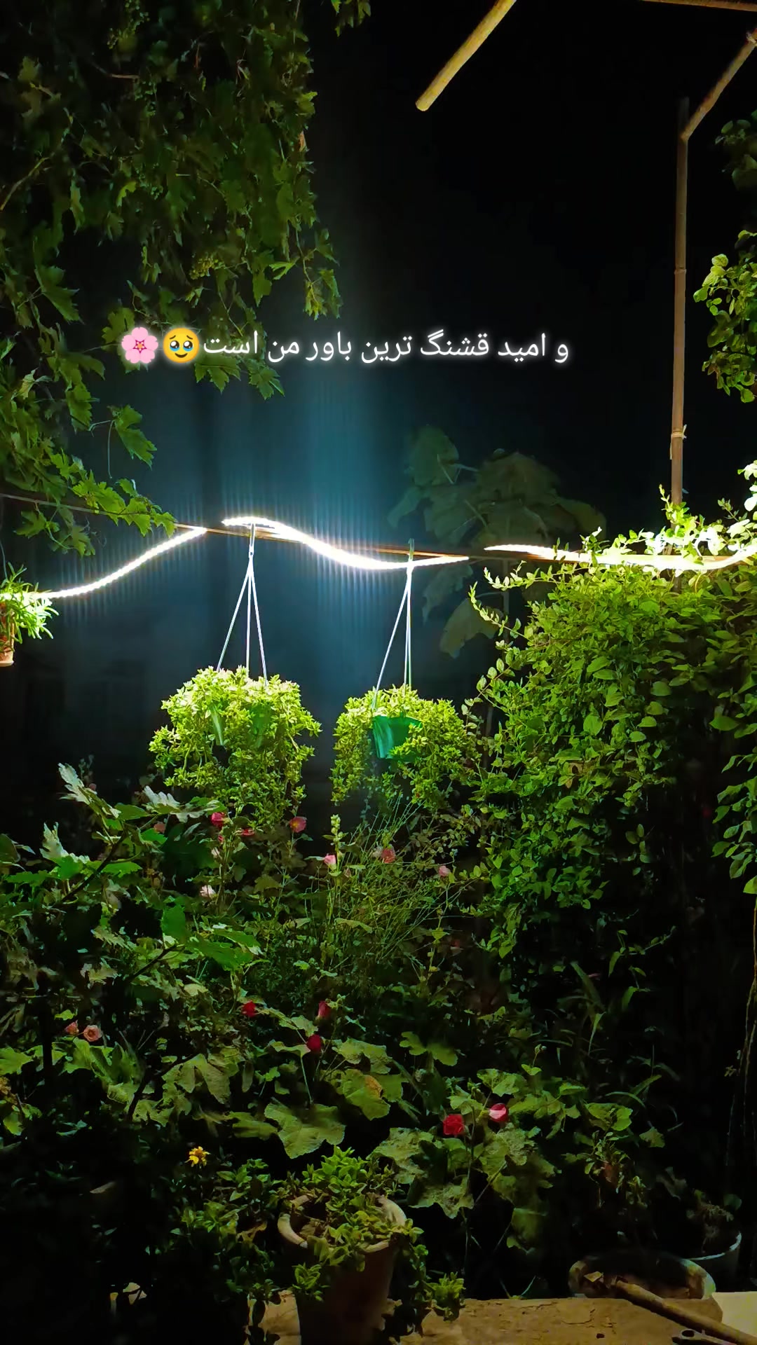 @Rezwana._.khawary