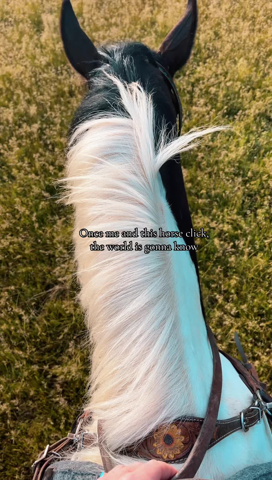 @mav.the.stang