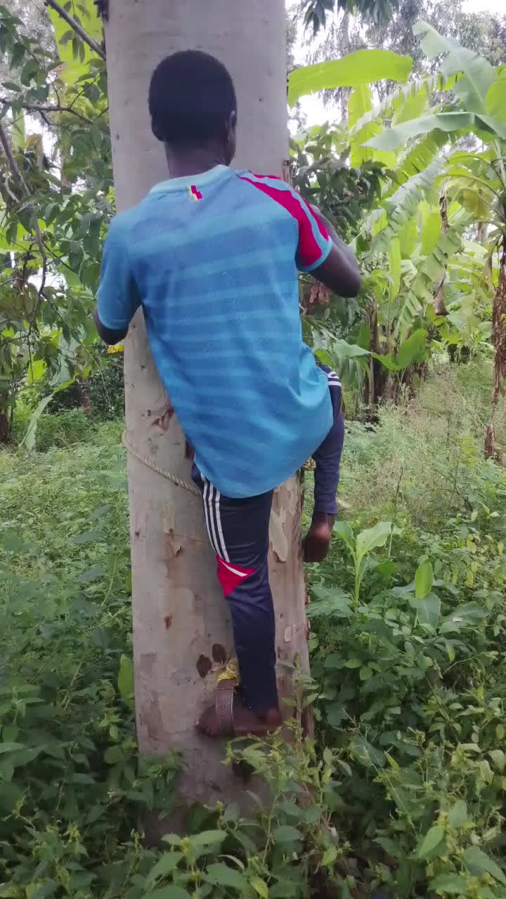 @AMIRI KASOME