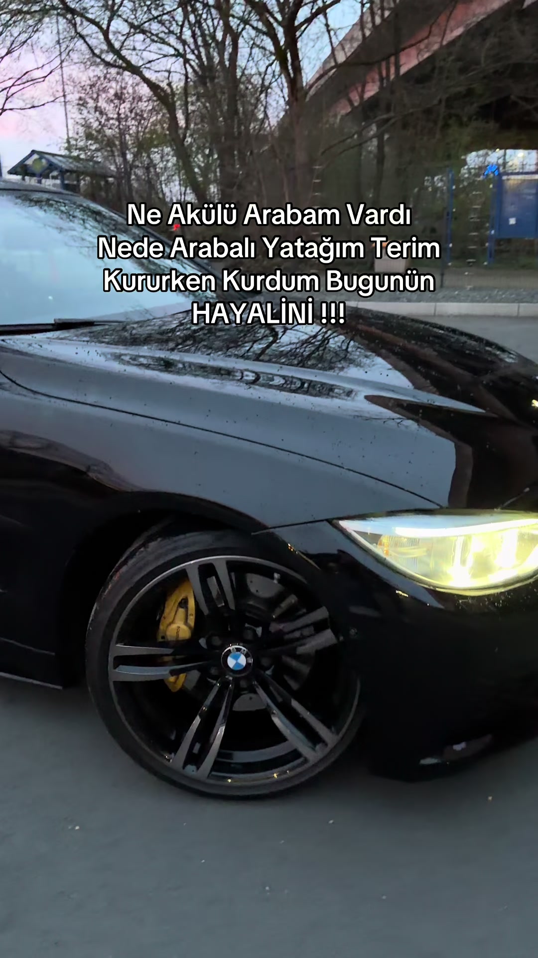 @Tariik40