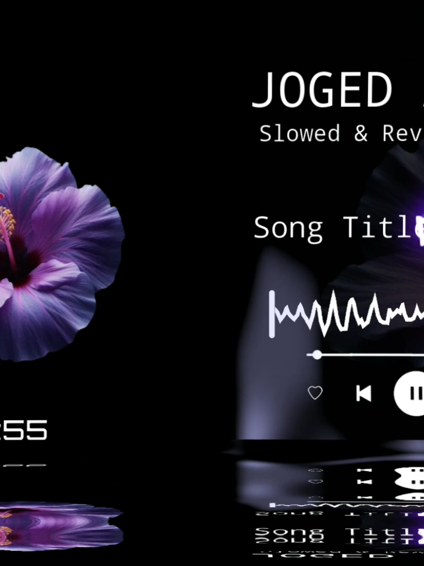 @ALEXA MUSIC