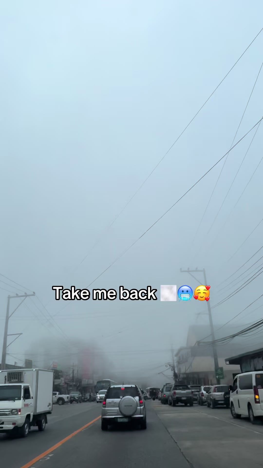 @Lynn Nery