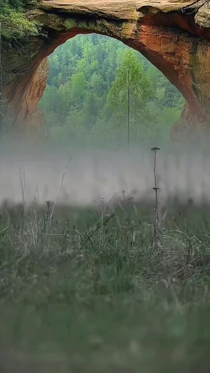 @@Loshila🤍🌷