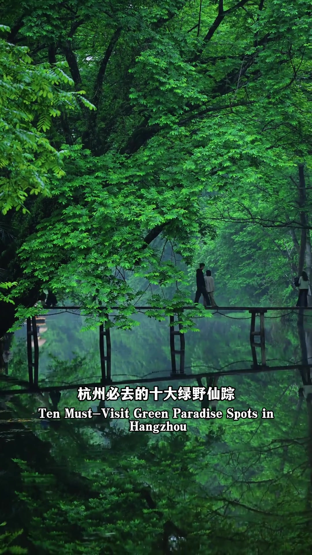 @中国青年