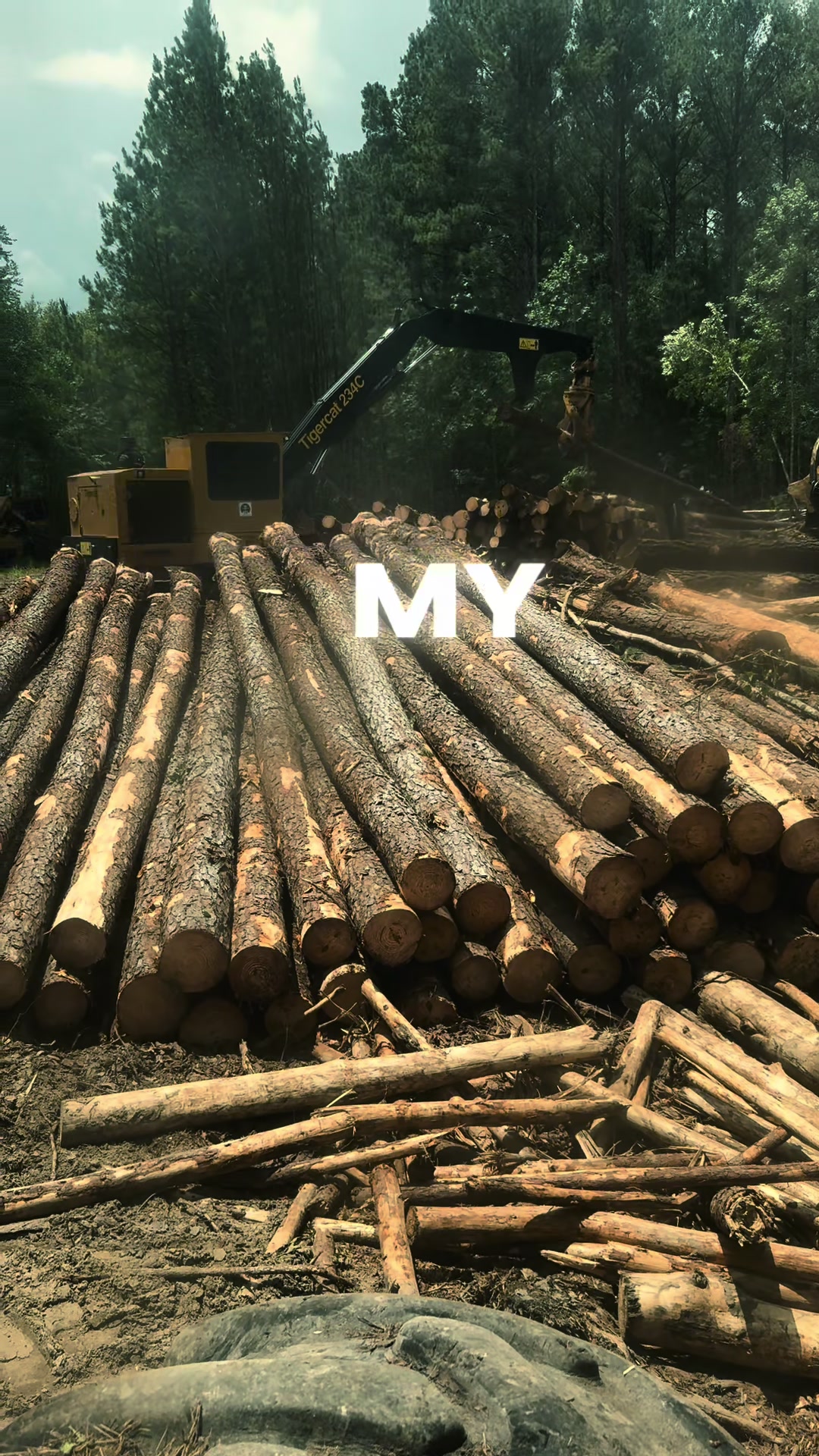@Tyler