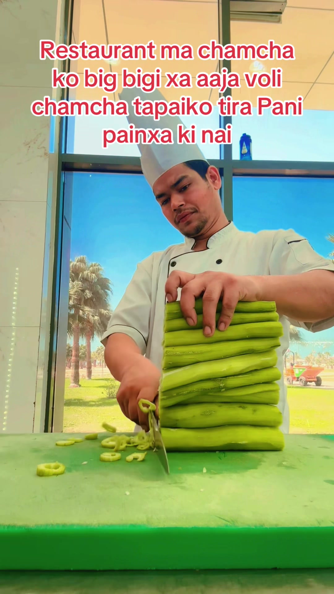 @chefms7