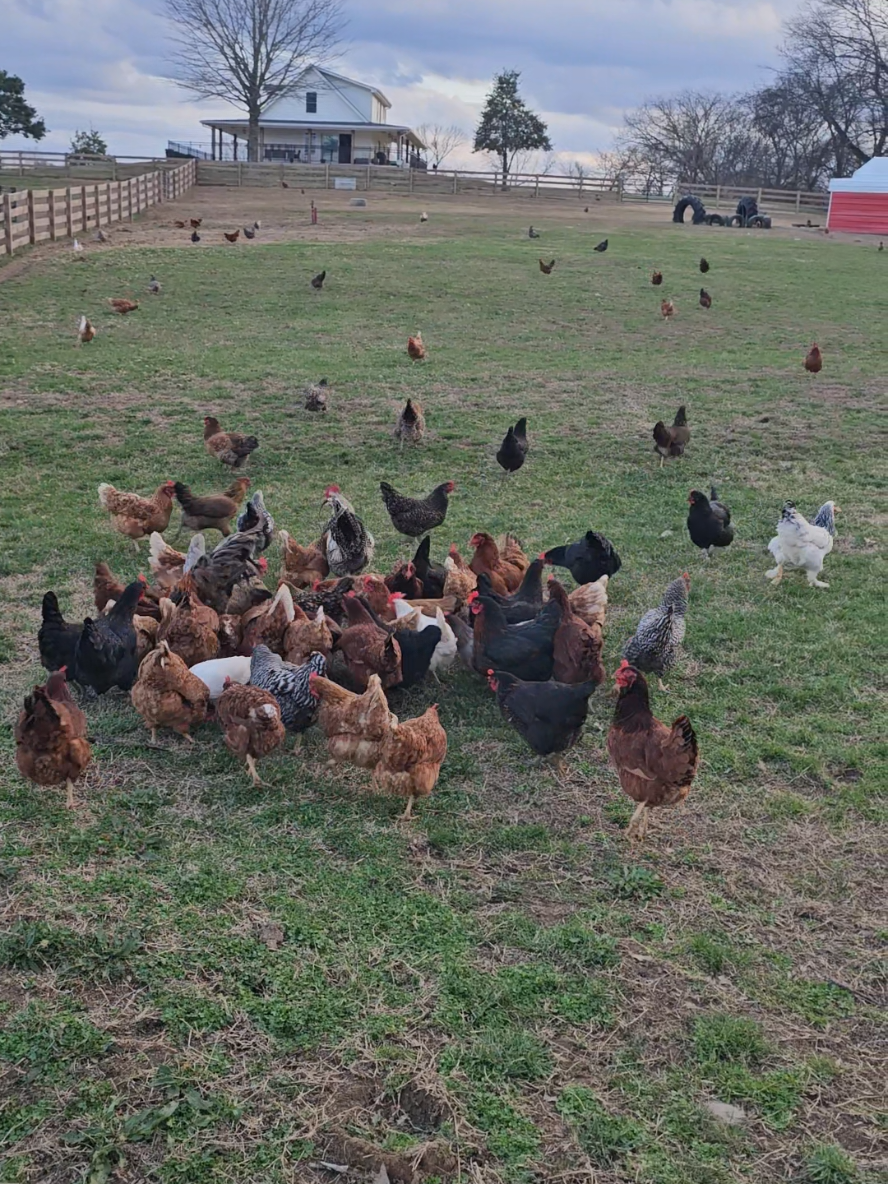 @FIRST TRY FARM