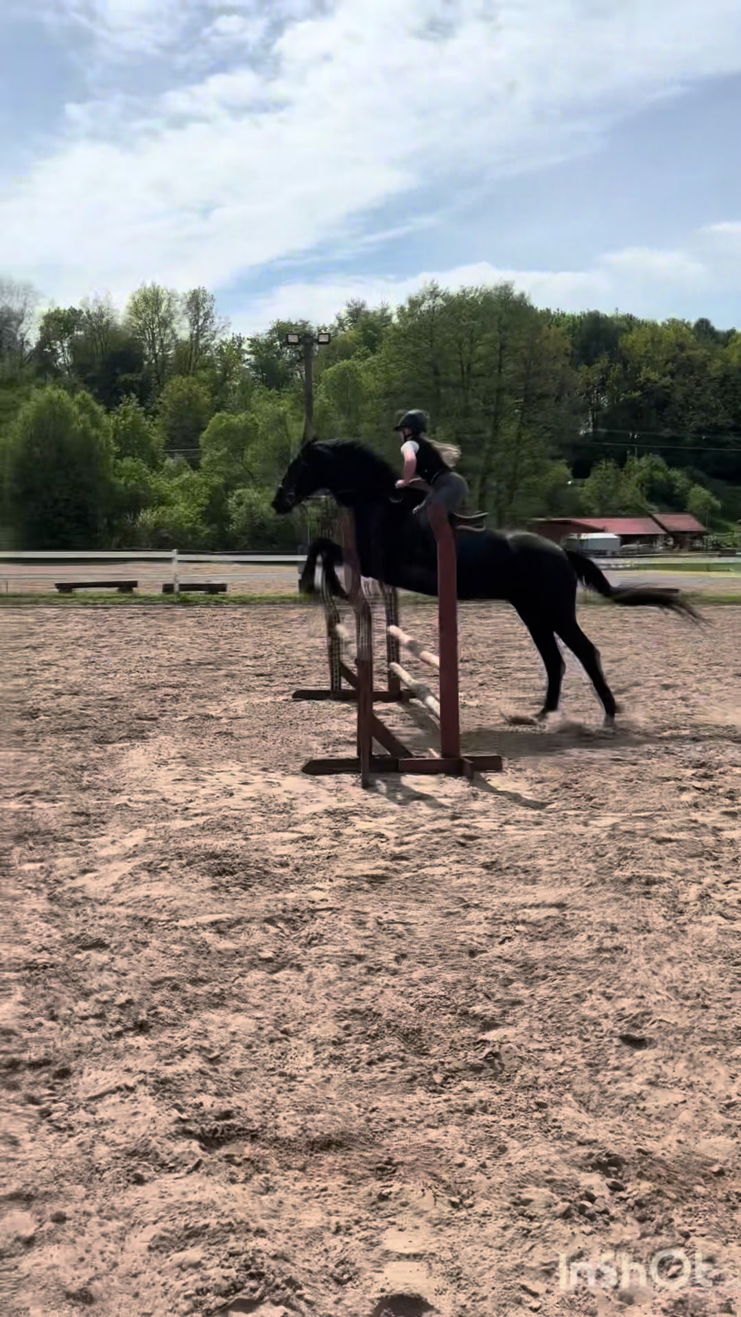 @💋🐴