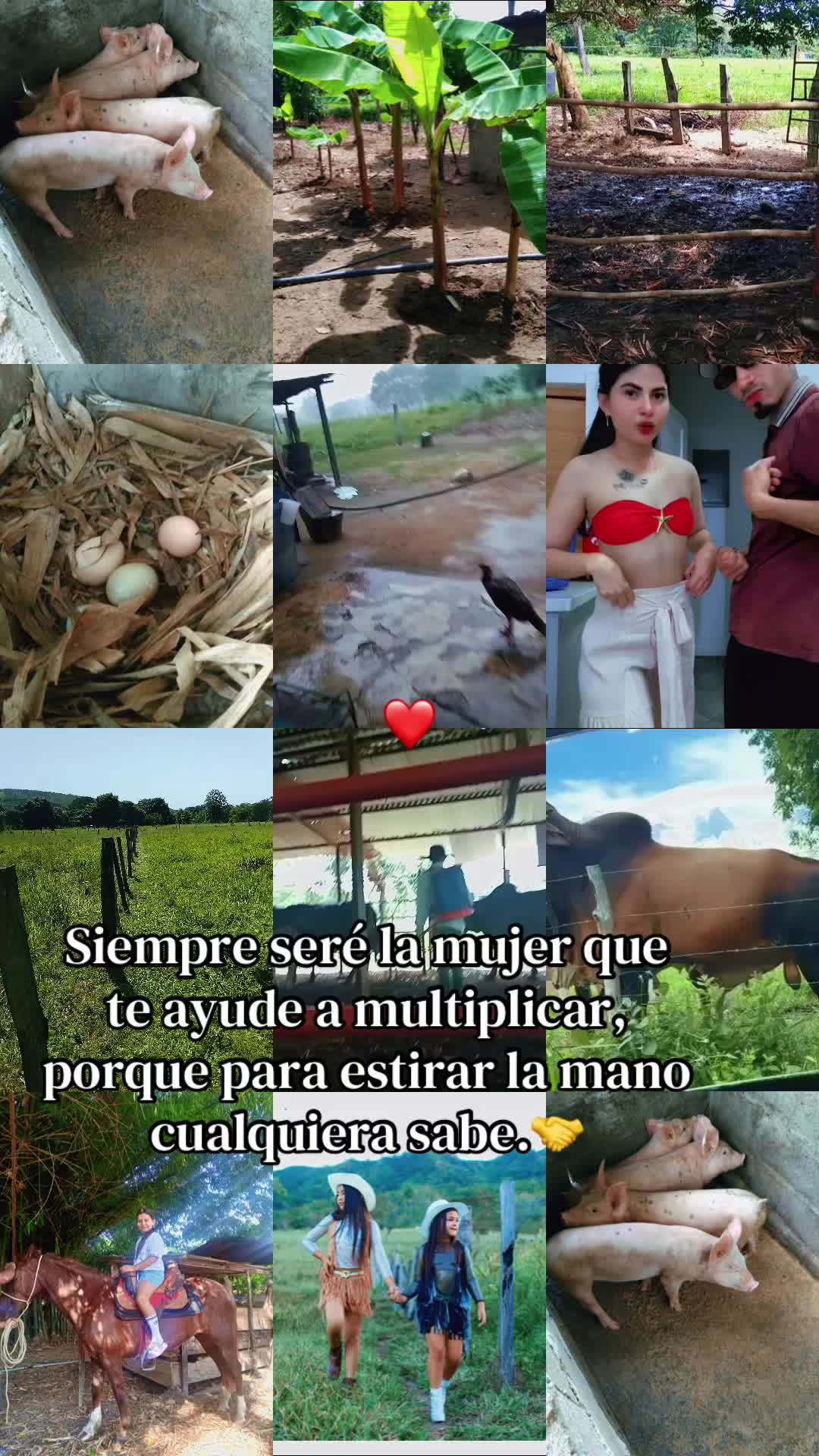 @Milexsy