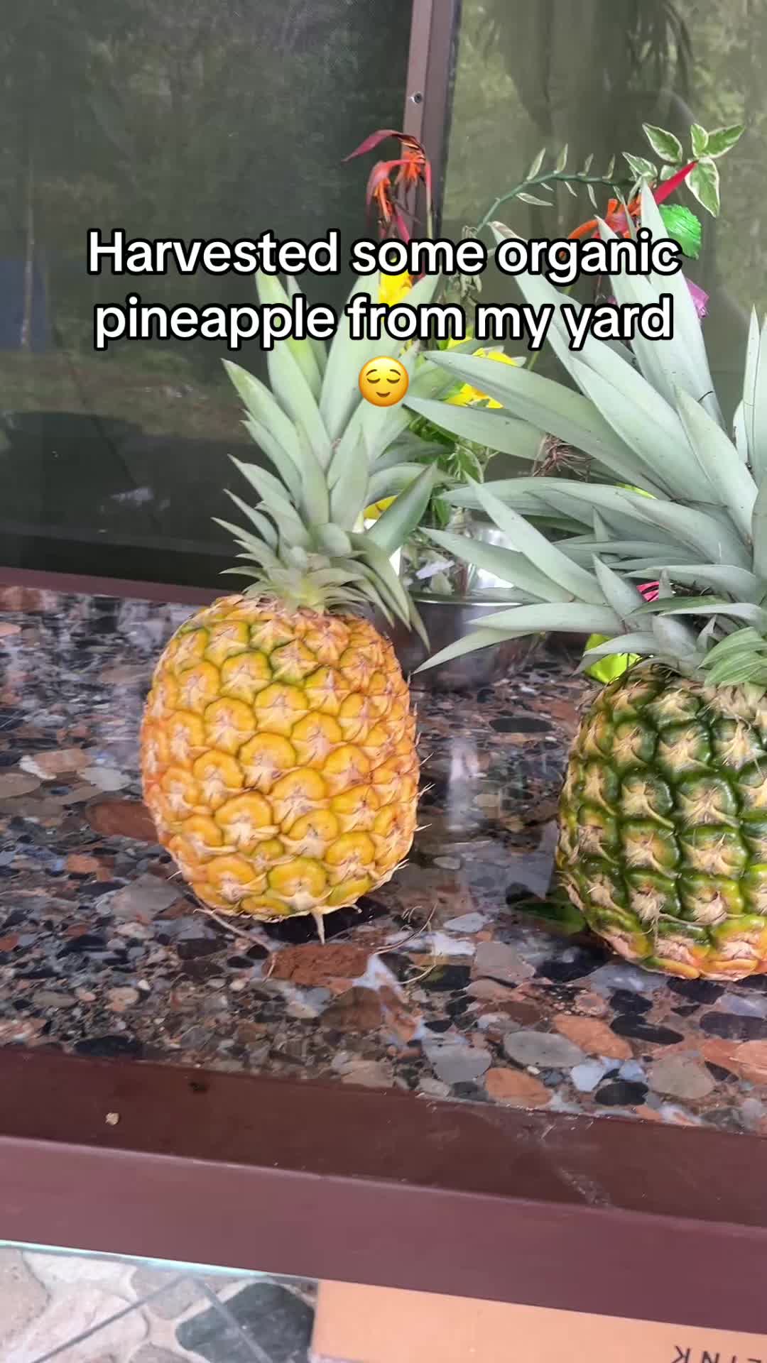 @ihopeyoufindserenity