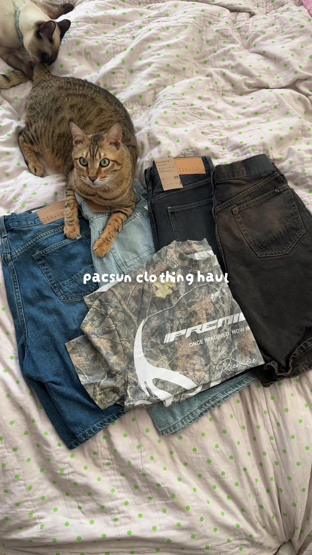 @oreocatsu ☘︎