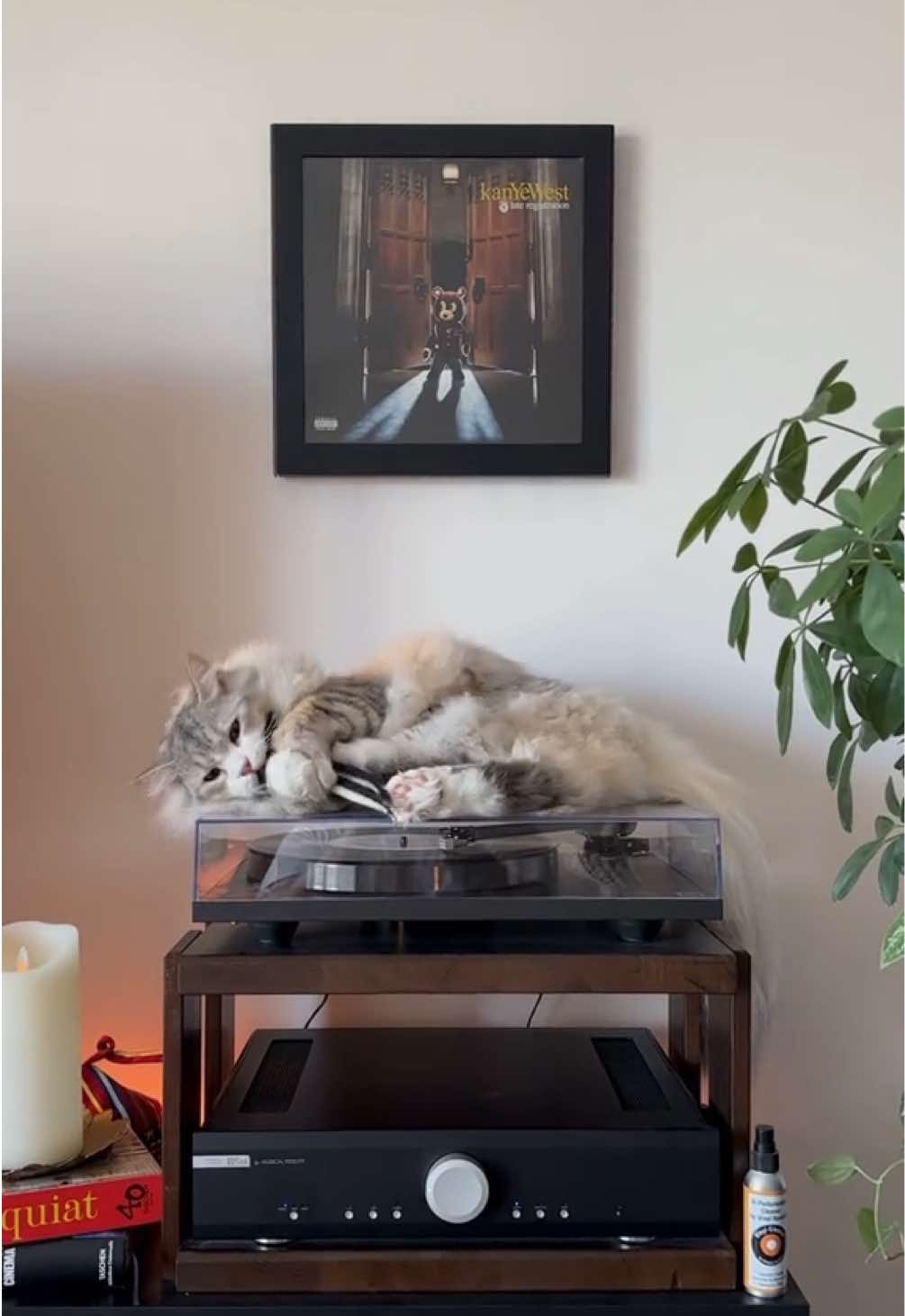 @Leon The Vinyl Cat