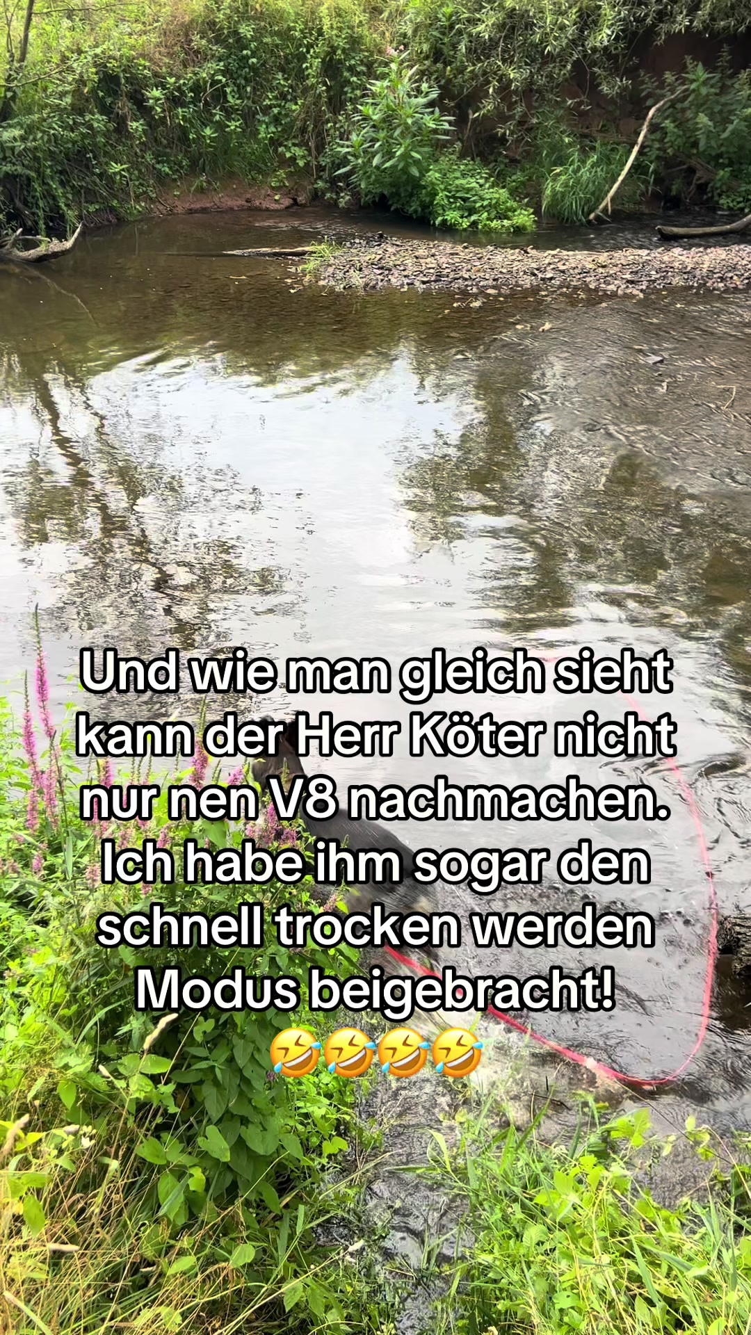 @Schotterprinzessin