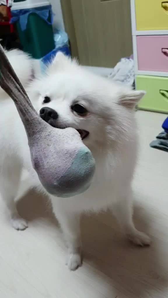 @mongooone