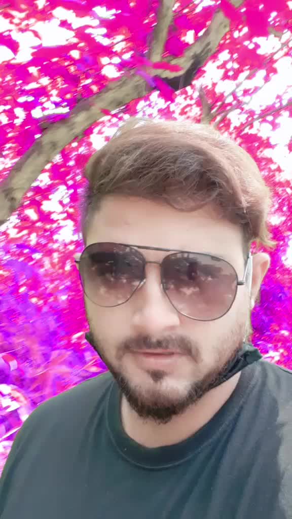 @SameerSameer5265
