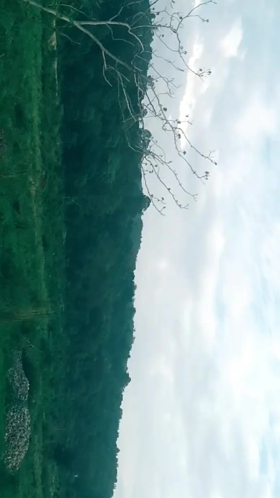 @Sanjeevani thakur