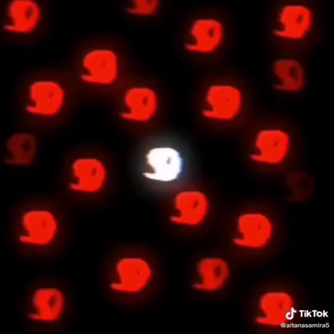 @Kiwiandalexis999