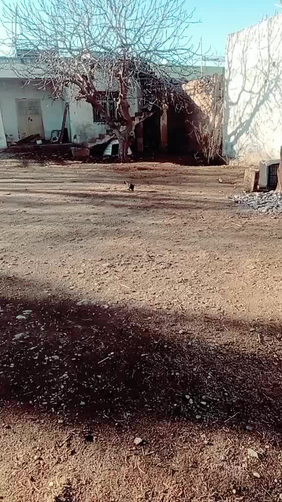 @uğursağlam4747