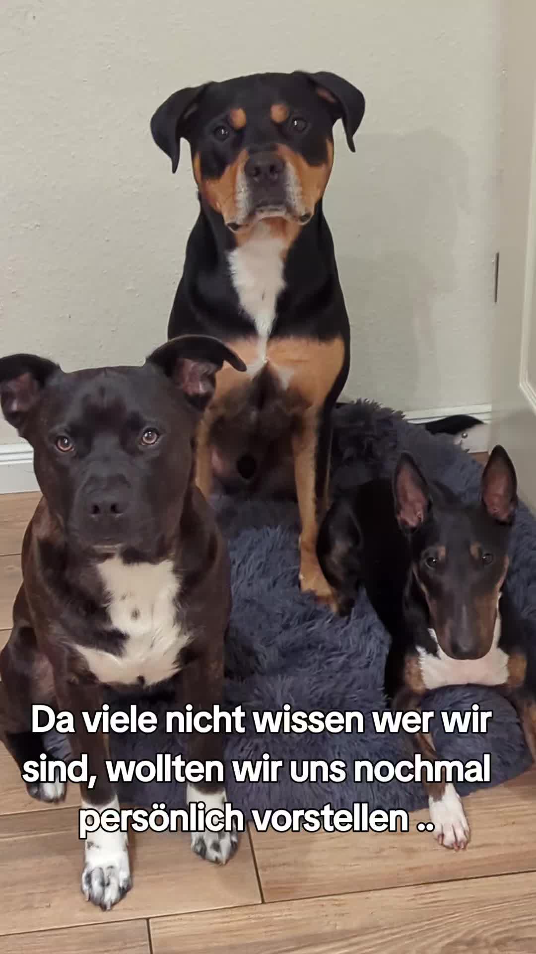 @DerJokerUndSeineFreunde