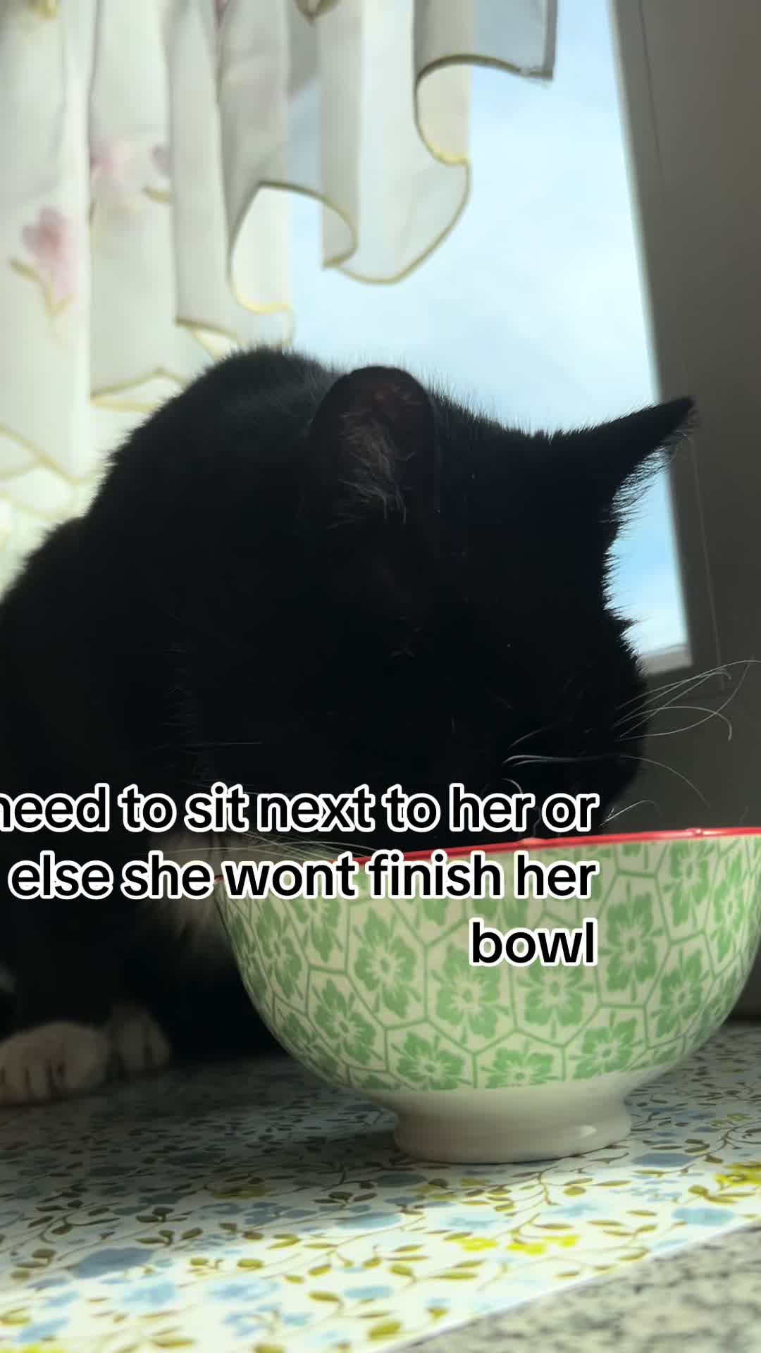 @mysterymiau