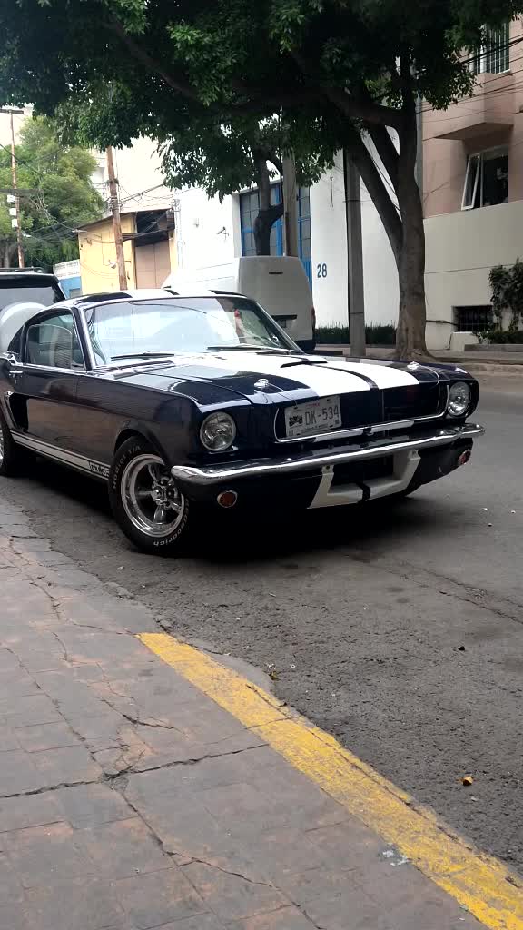 @mgaragemx