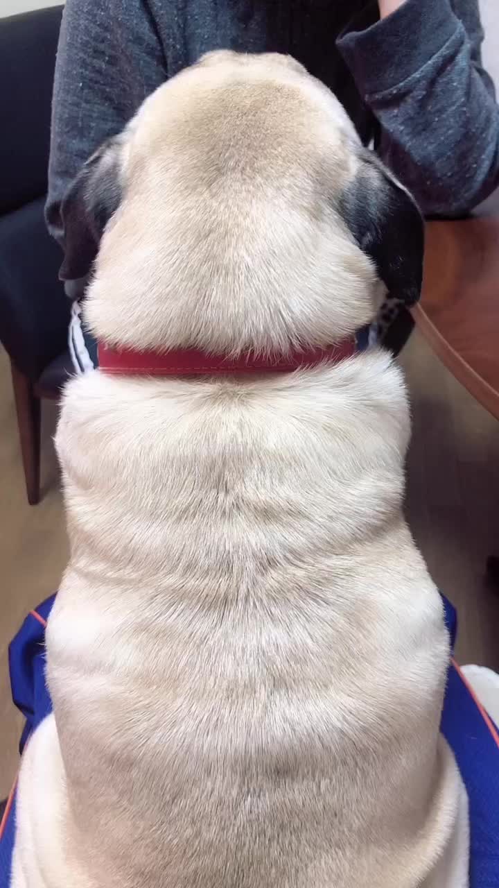 @Einシュタing