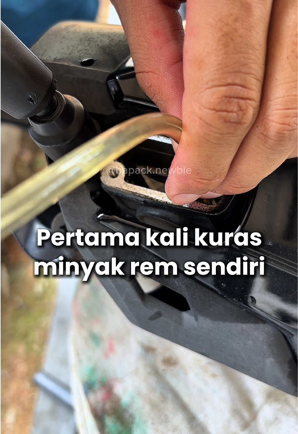 @Bapack Newbie