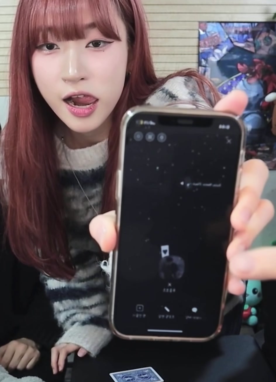 @나비 εїз