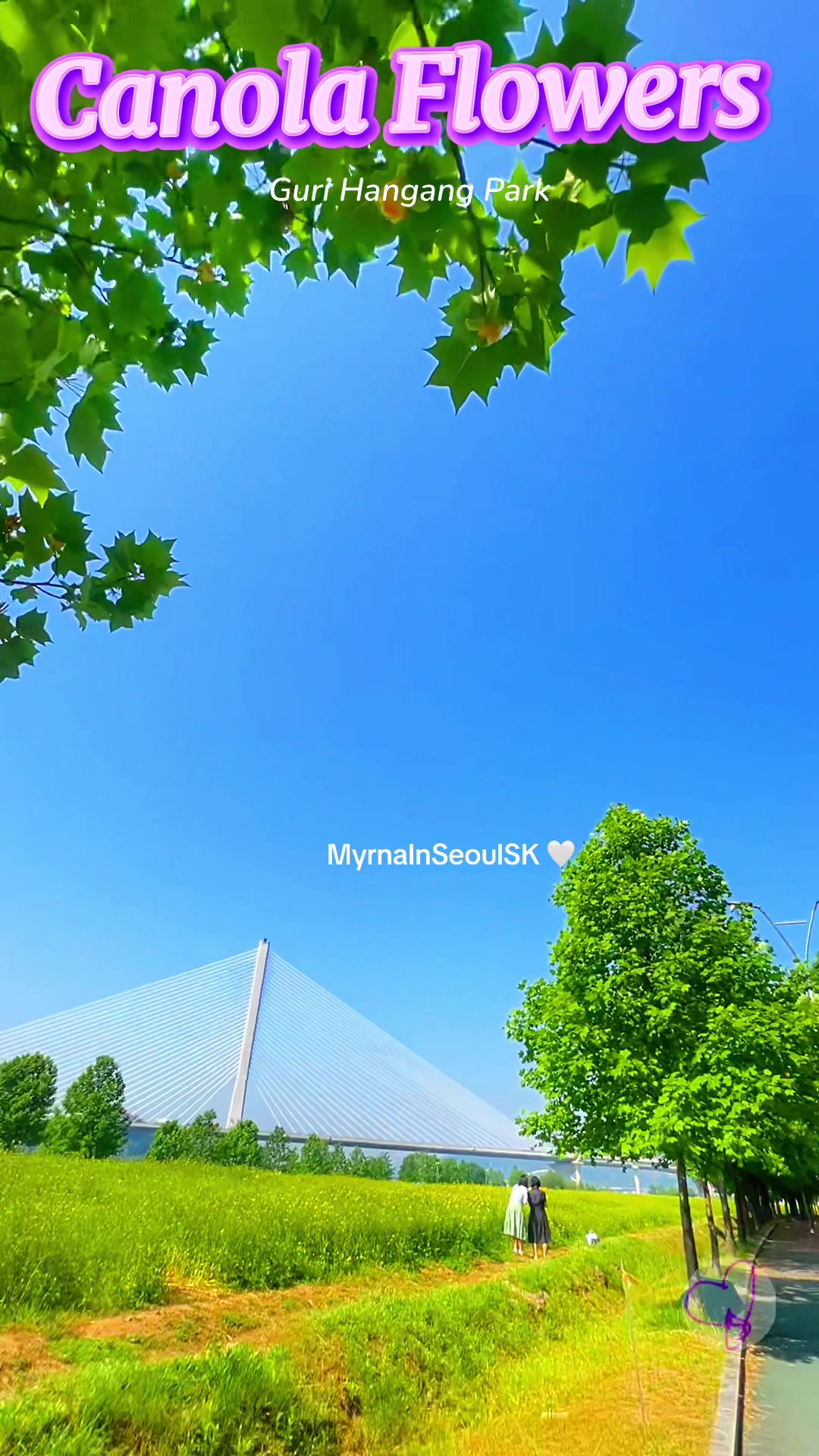 @MyrnaInSeoul 🤍 South Korea