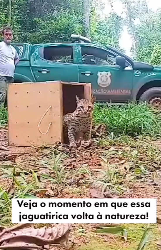 @Elisabete Silva