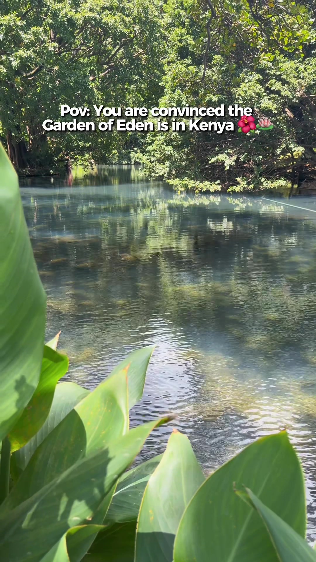 @Nessa🐦&zwj;🔥