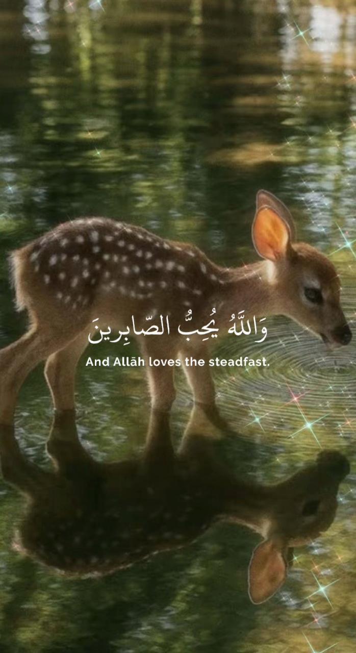@‧ ₊˚&sdot;آرام&sdot;˚₊ ‧
