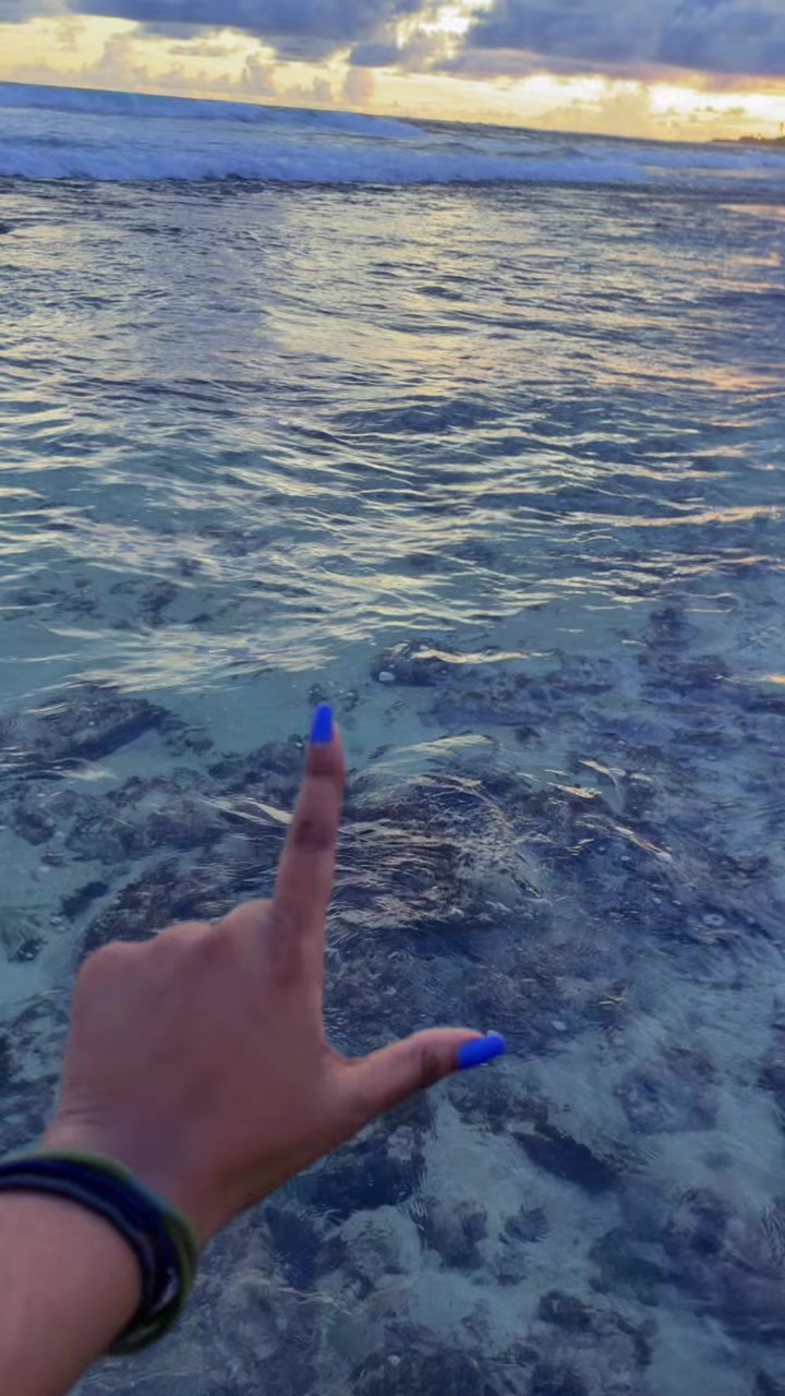 @HASHI__ #🦄🩷🥂✨️