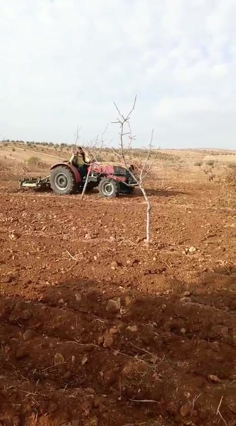 @𝕺 _𝖇𝖎𝖗_𝖐𝖗𝖆𝖑𝖑🦅
