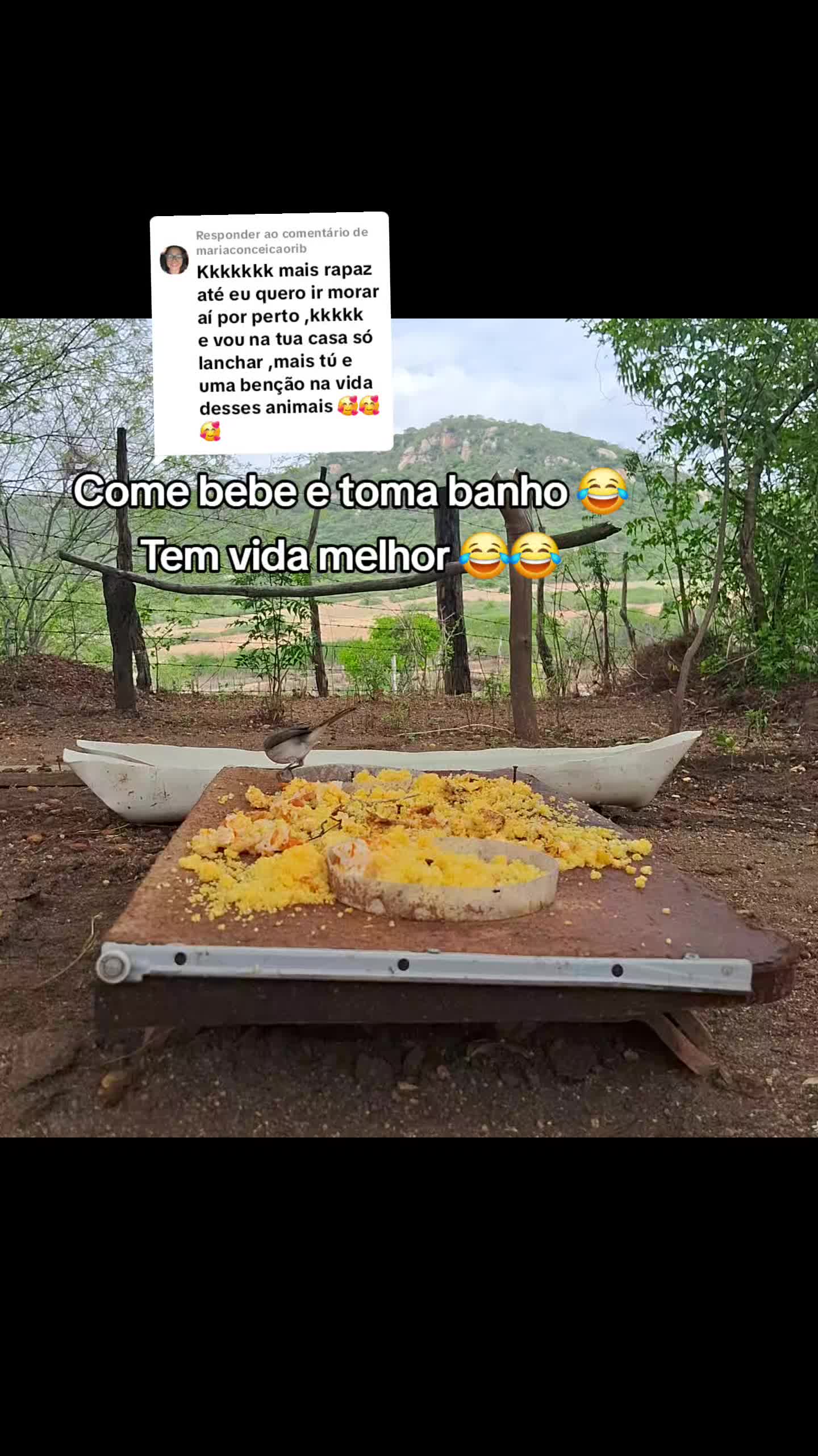 @Amante da natureza