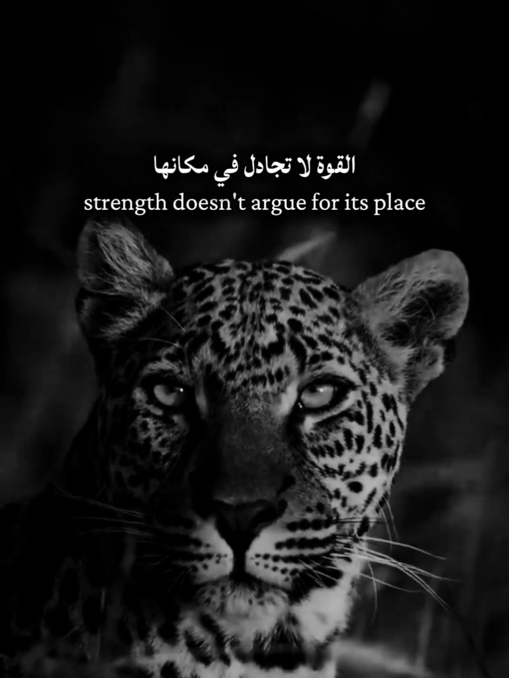 @mindset🇸🇩🇸🇦