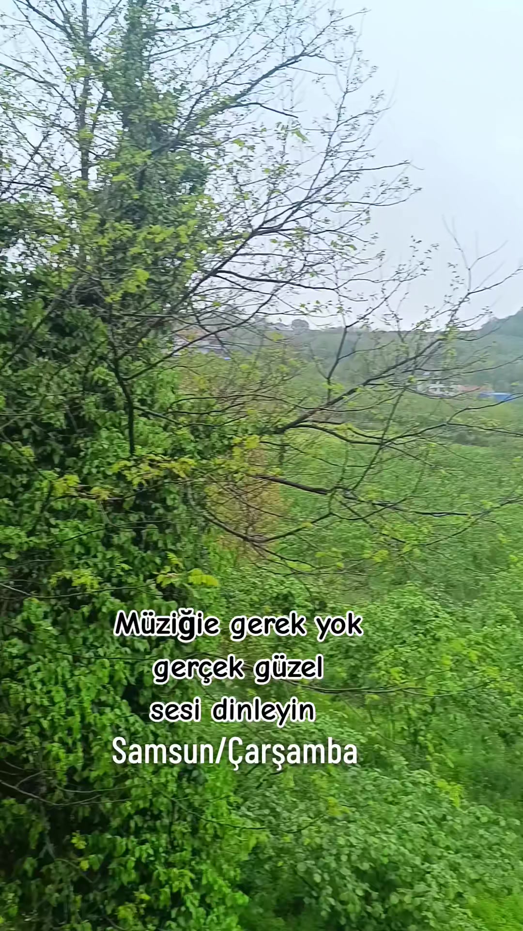 @sibel aydoğdu