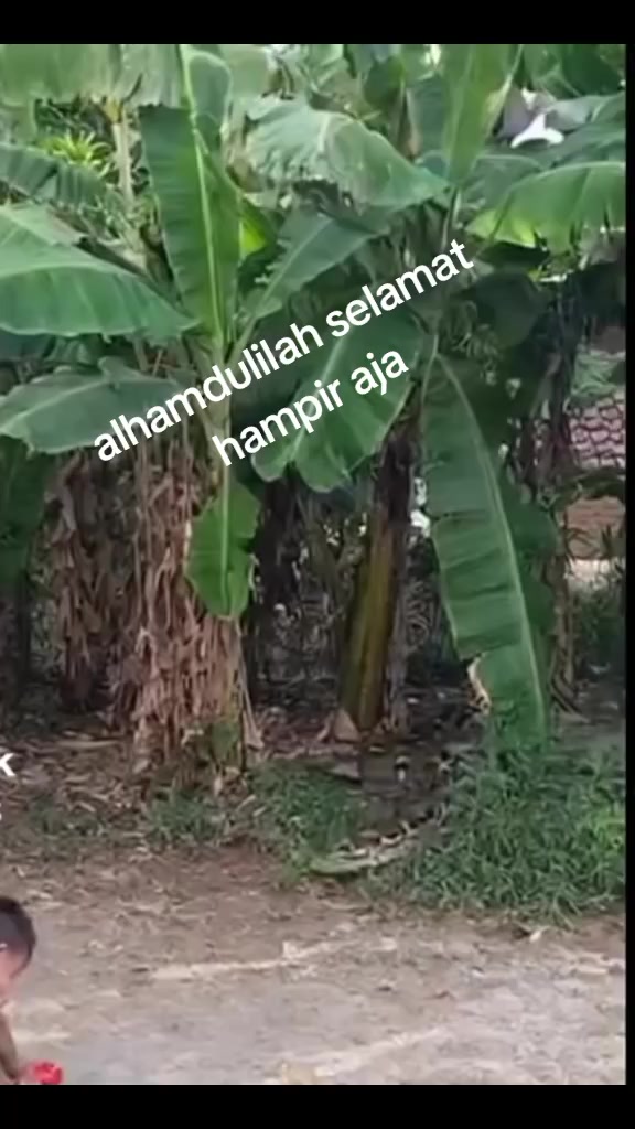 @aki somad