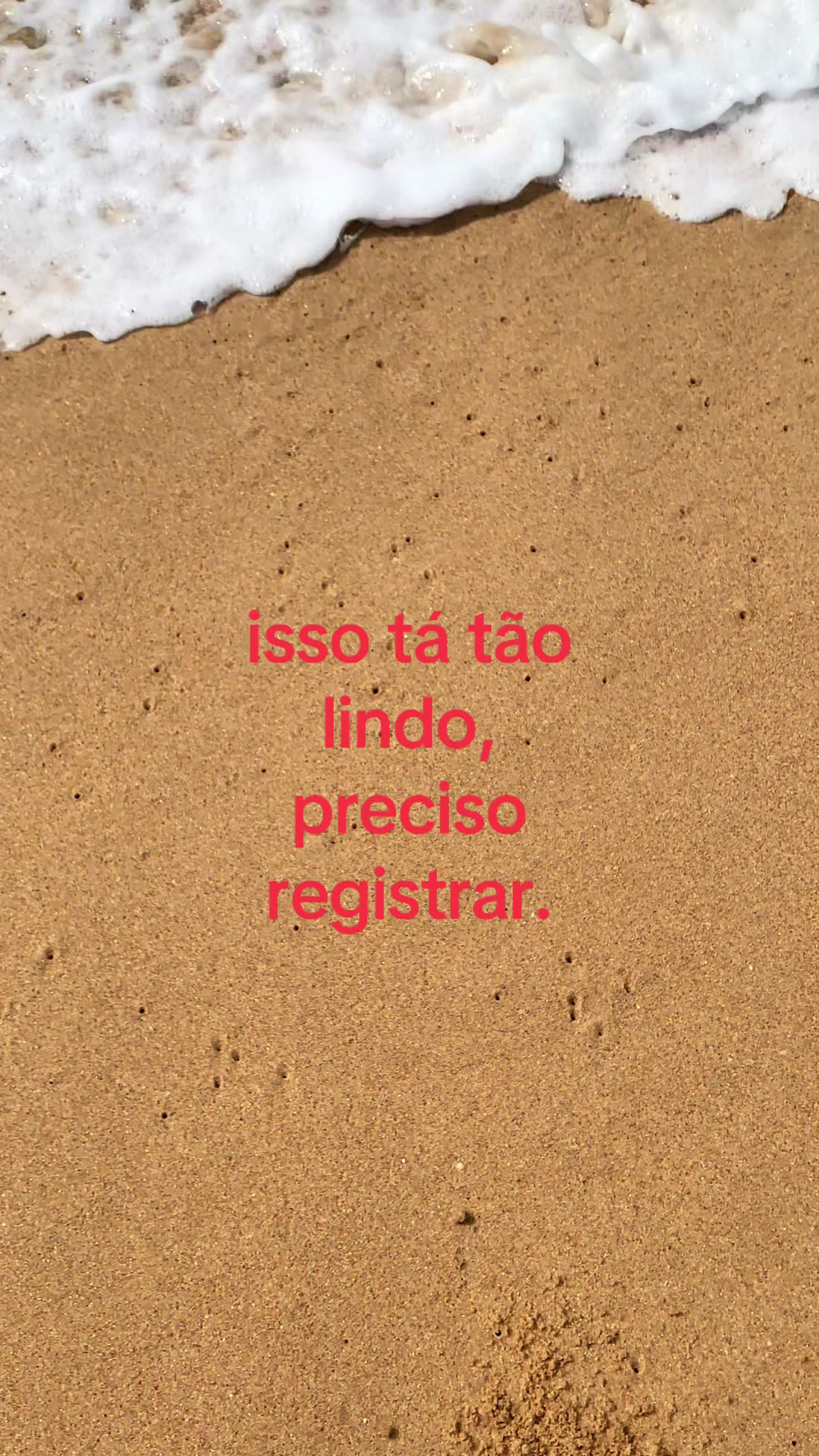 @fernanda nocce