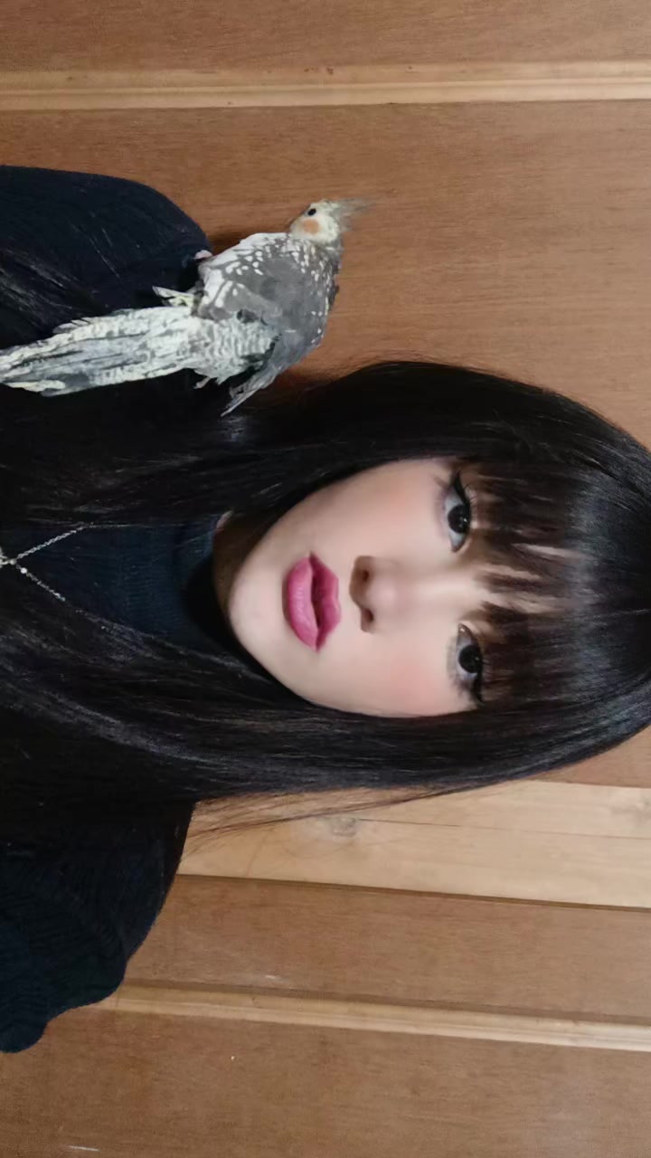 @hasti