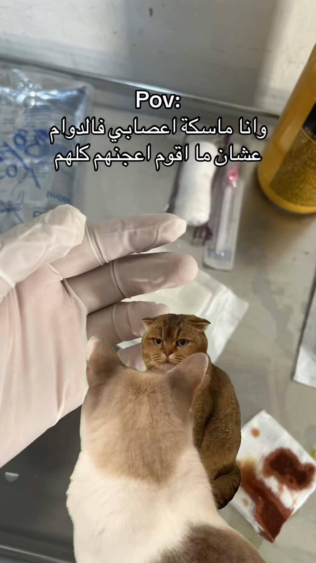@༺M༻
