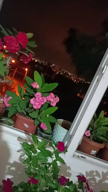 @🌺 &Ccedil;UKUROVALI 🌺