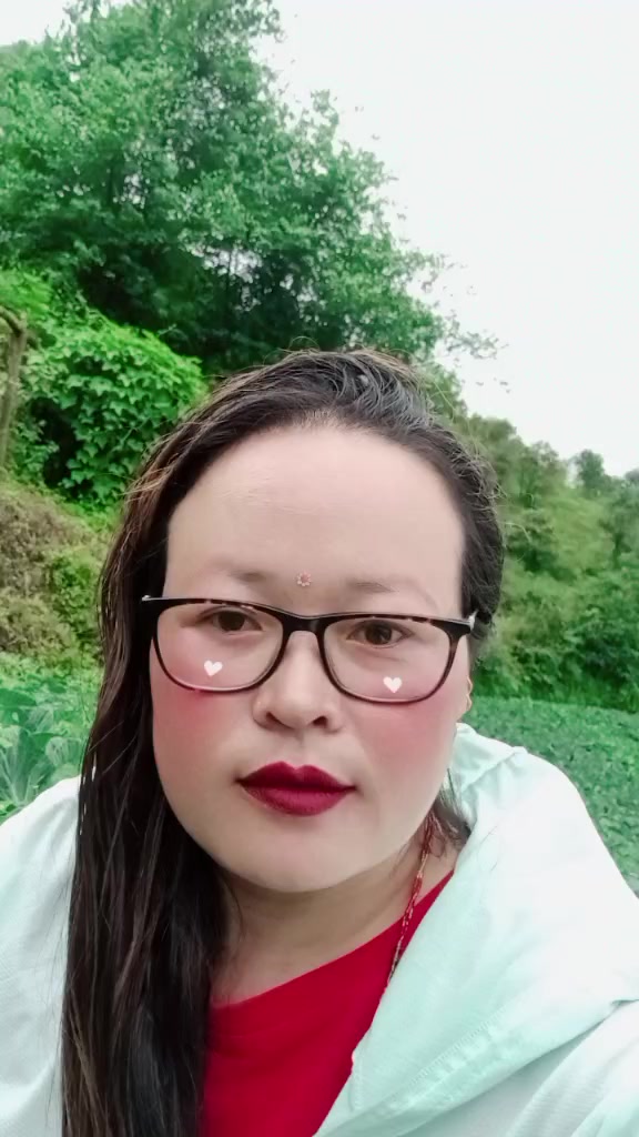 @MongolianDILU@