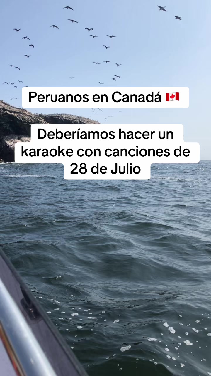 @Algoqcontar