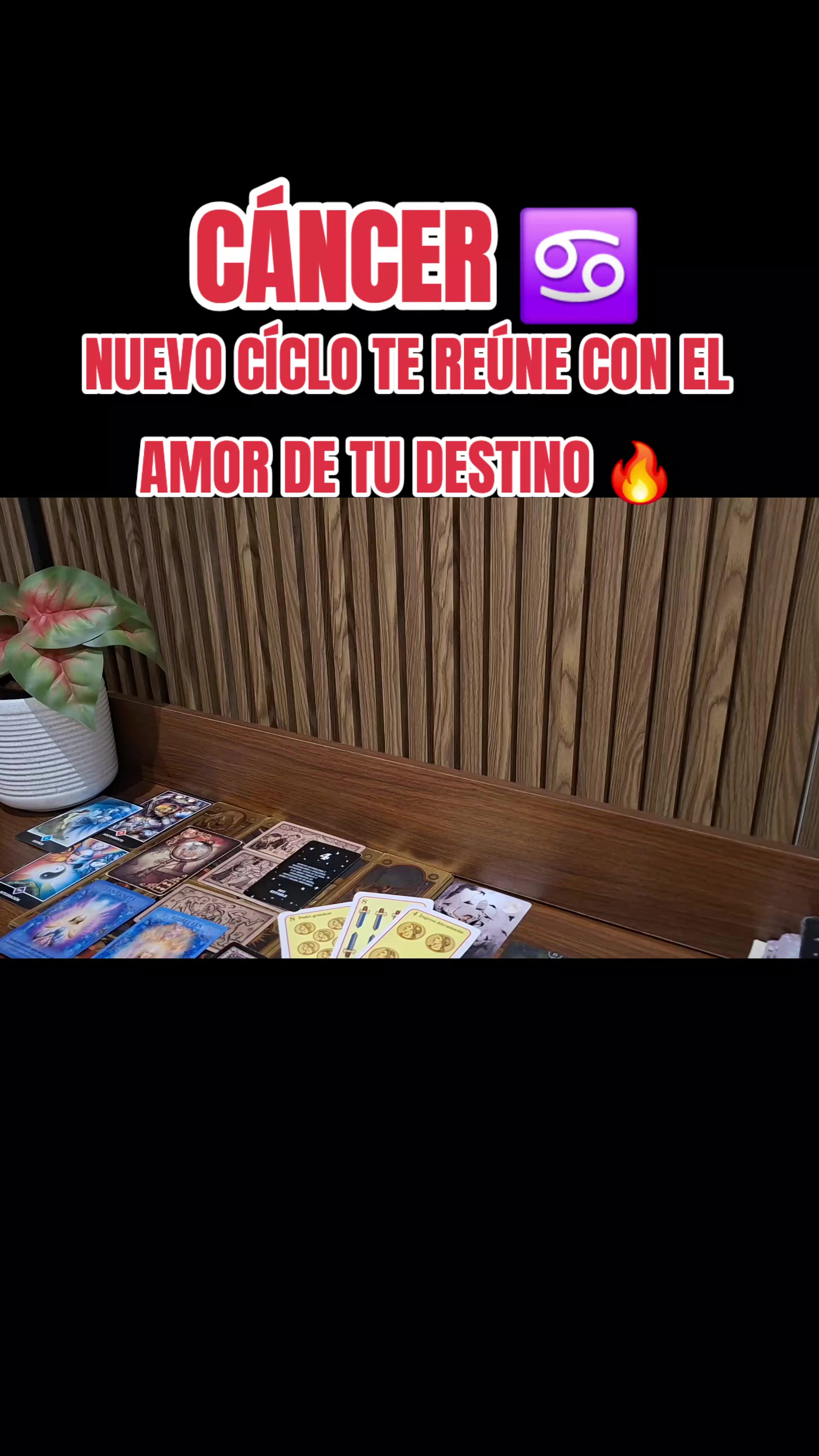 @FLOR DE FUEGO TAROT