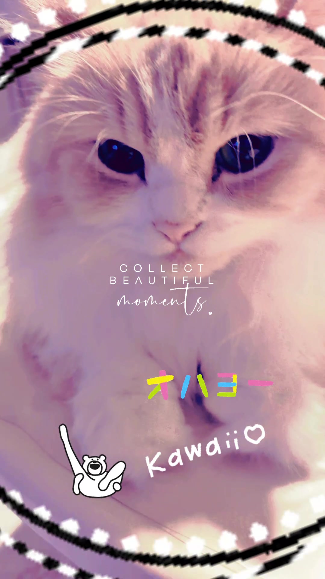@ベコまま
